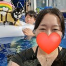 가평e펜션 | 가평 애견동반 펜션 라스블랑카스 부대시설(+수영장,바베큐,애견운동장)