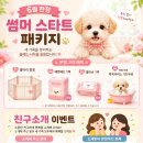 퍼피루미강아지분양애견샵양주 | 퍼피루미,6월 한정 썸머 스타트 패키지 & 친구소개 이벤트