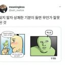 고양이나라 이미지