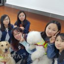 원광대학교 보건보완의학대학원 이미지