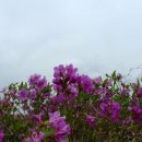 좋은아침 이미지