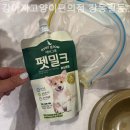 강아지고양이편의점강동