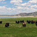 제국목장 이미지