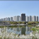 호수공원 이미지