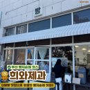 푸른제과 | [부산여행 7탄] 부산 전포 필수코스 빵지순례 단팥빵 휘낭시에 맛집 희와제과 내돈내산 주말 웨이팅 후기