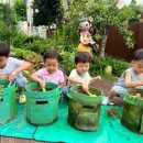 다모아유치원 이미지