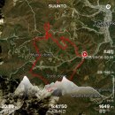 하실길 | 2025 다이나핏 태백 트레일러닝 참가 후기