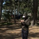 씨유 모항소나무에 노을점 | 태안 여행 이렇게 어때요｜실치회부터 트레킹까지 하루 코스