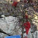 구텐베르크펜션 이미지