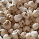 심심출출 이미지