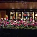 승빈생오리 | 겨울의 끝과 봄의 시작을 함께한 비밀스러운 연인, 라망시크레 방문기