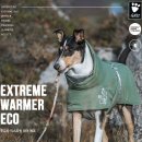 영하개 | ❄️ 영하 9도 서울 산책 후기! 진돗개 둥이와 함께한 후르타 익스트림 워머 에코 착용 리뷰