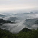 유*상 - 안양시 만안구 경수대로1166번길 | 유*상