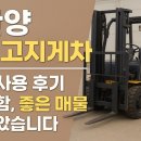 평촌지게차 | 안양 중고지게차 실사용 후기 포함 좋은 매물만 모았습니다