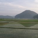 매화초교 이미지