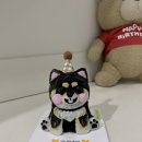펫스튜리(petschurri) | 까미 생일 케이크