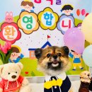 댕구르르 유치원 이미지