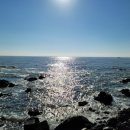 삼사리민박 이미지