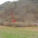 도장골천 이미지