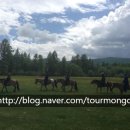 알타이항공(주) 이미지