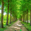 공주종합버스터미널2 이미지