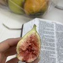 명국농장 이미지