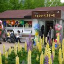 호수공원작은도서관 이미지