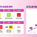 유*명1