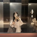 한깔2 | 시에 sie 러플 코튼 블라우스 후기 (ft.바닐라 vs 페탈핑크 뭐 품을까요?)