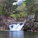 을수길 칡소폭포 | 강원도 애견동반 취사 가능한 계곡 캠핑 추천