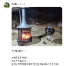 Stay Dole 이미지