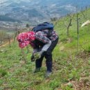 기찬농장 2 이미지