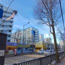 봉선초등학교 운동장 이미지