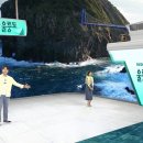 신세계라이브쇼핑