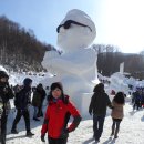 1월17일(금)[07:00출발] 강원○태백산☆눈꽃축제 ♧온세상이 하얗게 변해버린 동화속 세상 이미지