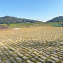 구공스테이 세종 | 모임 장소 추천 조용하고 프라이빗 한 독채 풀빌라 물놀이 가능한 세종 구공 안온스테이 내 돈 내산 리뷰