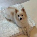 지에스25 권선세곡점 | 추석연휴 그후 10월 일상 가을아 가지마🍂🍁