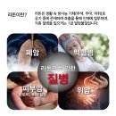 새라돈가스 네이버블로그