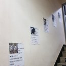 빈스 앤 멍 이미지