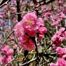 호암1단지아파트 이미지