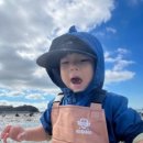 노을빛진산 이미지