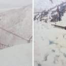 백설연차 이미지