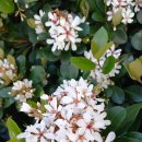 창조주의 이미지