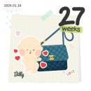 드림레지던스 | 26주차 임산부 일상 • 수영 고기형 • 두쫀쿠 • 돌돌트 • 엘시티 레지던스