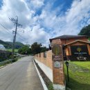 대관령로뎀나무 이미지