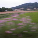 학산농장 이미지