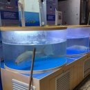 탐나종합어시장 수유광산사거리점 이미지