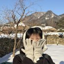 신창댁별채 네이버블로그