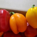 행복이농장 이미지