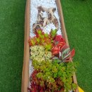 화정역광장 이미지